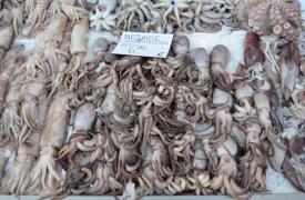 Ενημέρωση από τον ΕΦΕΤ για την Σαρακοστή - Τι να προσέξουμε στα τρόφιμα