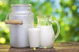 ΕΛΓΟ-ΔΗΜΗΤΡΑ: Ελεύθερη πρόσβαση σε όλους στα στοιχεία για το γάλα με την εφαρμογή «iMilk Elgo»