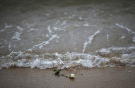 Σεισμός 8,8 Ρίχτερ στη Ρωσία: Αίρονται οι προειδοποιήσεις για τσουνάμι - Εκκενώσεις σε νησιά του Ειρηνικού