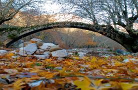 Οι εμπειρίες που αξίζει να ζήσετε στην Ευρυτανία