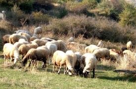 Τράπεζες: Αρνητικές για ανάπτυξη - ΤΧΣ: Γεφύρι της Άρτας - Καύσιμα: Στην Κύπρο μείωσαν φόρους, εδώ...