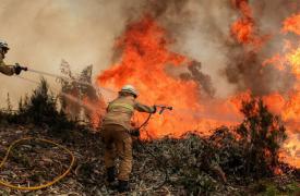 Πορτογαλία: Εννιά τραυματίες στις δασικές πυρκαγιές
