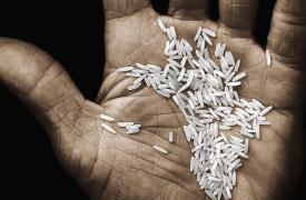 ΟΗΕ: 318 εκατ. άνθρωποι αναμένεται να αντιμετωπίσουν πείνα σε επίπεδο κρίσης το 2026