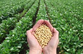 Ανακοινώσεις στις 15:00 για τη μεταρρύθμιση στις αγροτικές επιδοτήσεις