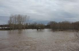 Παραμένει σε επιφυλακή ο Έβρος - Μάχη με τα νερά σε Λάβαρα και γύρω περιοχές