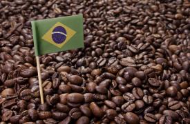 Βραζιλία: Η κλιματική αλλαγή φέρνει μεγάλες αλλαγές στην καλλιέργεια καφέ