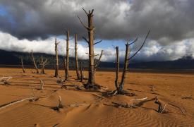 ΗΠΑ: Σε συναγερμό λόγω της ξηρασίας - Μειώνεται η τροφοδοσία νερού σε αρκετές δυτικές πολιτείες