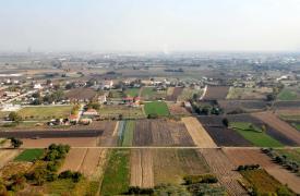 ΥΠΑΑΤ: Πώς θα γίνει η πληρωμή αγροτεμαχίων έως 20 στρέμματα παρά τα ζητήματα ΚΑΕΚ