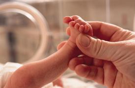 Δημογραφικό: 706 δημοτικές ενότητες με μηδενικές γεννήσεις το 2025 - Ποιος δήμος κατέγραψε 1.396 θανάτους και κανένα νεογέννητο