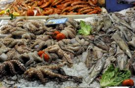 Σαρακοστή: Πώς καταναλώνουμε με ασφάλεια θαλασσινά και οστρακοειδή