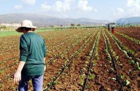 Η Ώρα της Κρίσης: Οι εμπορικές συμφωνίες της ΕΕ και η «σφαγή» του Ευρωπαίου αγρότη