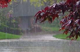 Meteo: Σε ποιες περιοχές καταγράφηκαν τα μεγαλύτερα ύψη βροχής τον φετινό Νοέμβριο