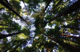 ΕΕ: 1 στους 5 θανάτους από καρδιαγγειακά θα μπορούσε να αποφευχθεί αν μειώνονταν οι περιβαλλοντικοί κίνδυνοι