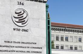 ΠΟΕ: Αδιέξοδες οι συνομιλίες για παράταση μορατόριουμ στη μη επιβολή δασμών στο ηλεκτρονικό εμπόριο