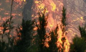 Αντιπυρική 2026: Παγκόσμιο σήμα κινδύνου από τις φωτιές – Τι έρχεται στην Ελλάδα