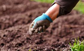 Επιδότηση λιπασμάτων 15%: Ποιοι τη δικαιούνται, πώς γίνεται η αίτηση και τι σημαίνει για το κόστος παραγωγής