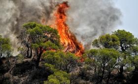 Πολύ υψηλός κίνδυνος πυρκαγιάς αύριο Τρίτη 15 Ιουλίου σε 5 Περιφέρειες
