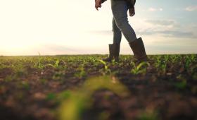 Σπορά χωρίς ρευστό: Το κενό που αφήνουν οι έλεγχοι, η αναμονή του ΟΣΔΕ 2026 και οι καθυστερήσεις του ΠΑΑ