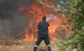 Χαλκιδική: Σε εξέλιξη μεγάλη φωτιά στην Καλλικράτεια - Ενισχύθηκαν οι δυνάμεις κατάσβεσης