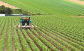 Aύξηση 1,3% των τιμών εκροών σε Γεωργία – Κτηνοτροφία τον Ιανουάριο