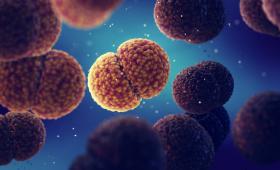 Τι πρέπει να γνωρίζουμε για τη μηνιγγίτιδα - Οι ειδικοί συμβουλεύουν