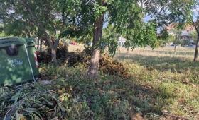 Τι αλλάζει στους καθαρισμούς των οικοπέδων με το νομοσχέδιο «Ενεργή Μάχη»