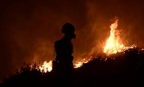 Ολονύχτια μάχη στα πύρινα μέτωπα σε Βοιωτία και Σαλαμίνα - 39 φωτιές σε ένα 24ωρο