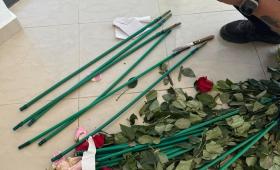 Επιχείρηση «Τα άνθη του κακού»: Κύκλωμα έκρυβε 84 κιλά κοκαΐνης μέσα σε τριαντάφυλλα