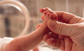 Δημογραφικό: 706 δημοτικές ενότητες με μηδενικές γεννήσεις το 2025 - Ποιος δήμος κατέγραψε 1.396 θανάτους και κανένα νεογέννητο