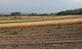 Χωρίς ΟΣΔΕ 2026: Κάρτα Αγρότη στον «πάγο», κόστη στη «φωτιά»…