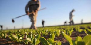 Αγρότες στο δρόμο (ΙV): Οι έπαινοι από το Harvard, η μεσογειακή διατροφή και το αγκάθι της απουσίας σχεδίου