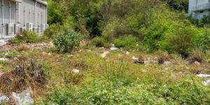 Ακαθάριστα οικόπεδα: Νέο χρονοδιάγραμμα, βαρύτερα τα πρόστιμα - Τι αλλάζει για τους ιδιοκτήτες το 2026