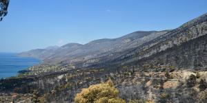 Δυτ. Αττική: Το χρονοδιάγραμμα αποκατάστασης μετά τη φωτιά - Στόχος η έναρξη των έργων πριν τις 15/9