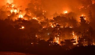 Καζακστάν:14 νεκροί από τις δασικές πυρκαγιές στο βορειοανατολικό τμήμα της χώρας