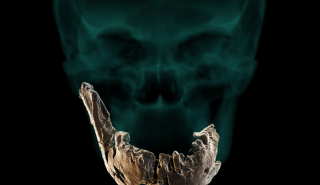 Ανακαλύφθηκε στο Ισραήλ ένας άγνωστος έως τώρα Homo, ο Nesher Ramla