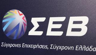 ΣΕΒ: Ολοκληρώθηκε το πρόγραμμα «Skills4Jobs για Ηλεκτρολόγους Αυτοματιστές στη Στερεά Ελλάδα