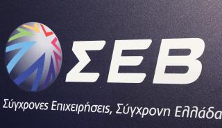 ΣΕΒ: Ολοκληρώθηκε το πρόγραμμα «Skills4Jobs για Ηλεκτρολόγους Αυτοματιστές στη Στερεά Ελλάδα