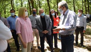 Επίσκεψη Φ. Γεννηματά στην Ηλεία, για τον «Πράσινο Κόσμο» του ΚΙΝΑΛ