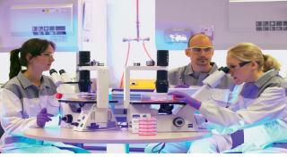 Σημαντικές εξελίξεις στις κυτταρικές και γονιδιακές θεραπείες, από τις AskBio και BlueRock