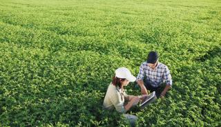 ΚΕΠΕ: Πλεόνασμα για δεύτερη συνεχόμενη χρονιά στο εμπορικό ισοζύγιο αγροτικών προϊόντων και τροφίμων