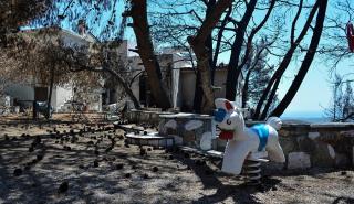 Πυρκαγιά στο Μάτι: Ποινική δίωξη στον πρώην αρχηγό της Πυροσβεστικής