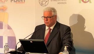 Γιαρέντης: Ο ΔΑΠΕΕΠ δίπλα στους ελεύθερους επαγγελματίες για τη μείωση του ενεργειακού κόστους
