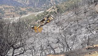 Πυρκαγιά: Έχασε τη ζωή του χειριστής μηχανήματος στη Φωκίδα