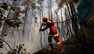 Ημερήσιος Χάρτης Πρόβλεψης Κινδύνου Πυρκαγιάς: Στο «πορτοκαλί» 13 περιοχές την Τρίτη