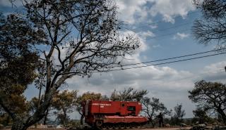 Σε ύφεση η πυρκαγιά στην περιοχή Κάζα στα Βίλια - Συνεχίζουν να επιχειρούν ισχυρές πυροσβεστικές δυνάμεις