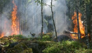 Πολύ υψηλός κίνδυνος πυρκαγιάς αύριο για την περιφέρεια Βορείου Αιγαίου