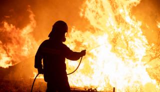 Συνεχίζει να καίει η φωτιά στη Μεγαλόπολη - Έσβησε το μέτωπο στην Ηλεία