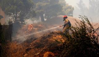 Αντιπεριφερειάρχης Δ. Αττικής για Βίλια: Μπορεί να γίνει Εύβοια η περιοχή αν ξεφύγει η φωτιά