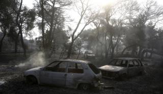 Αττική: Ξεκίνησε η καταγραφή ζημιών σε επιχειρήσεις που επλήγησαν από τις καταστροφικές πυρκαγιές