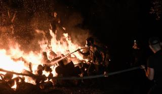 Έρχονται στην Ελλάδα 219 Γερμανοί πυροσβέστες ειδικοί στις αναζωπυρώσεις